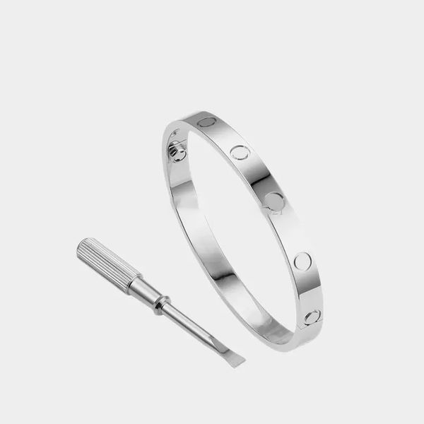 Fashionable luxury bangles and designer bracelets for men and women, featuring titanium steel charms with screwdriver details