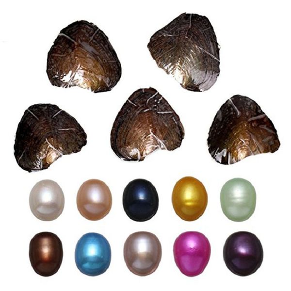 Oval Oyster Pearl new 7-10mm 20 mix color Fresh water Natural pearl Gift DIY Loose Decorations Vacuum Packaging Wholesale