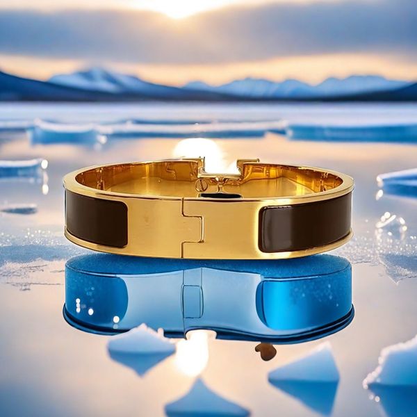 Women's stylish friendship bracelet with designer charms in stainless steel, available in gold, silver, and rose tones - a high-quality jewelry gift for her